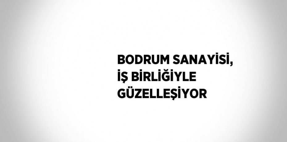 BODRUM SANAYİSİ, İŞ BİRLİĞİYLE GÜZELLEŞİYOR