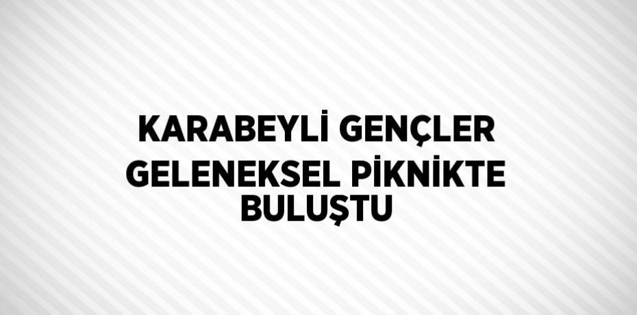 KARABEYLİ GENÇLER GELENEKSEL PİKNİKTE BULUŞTU